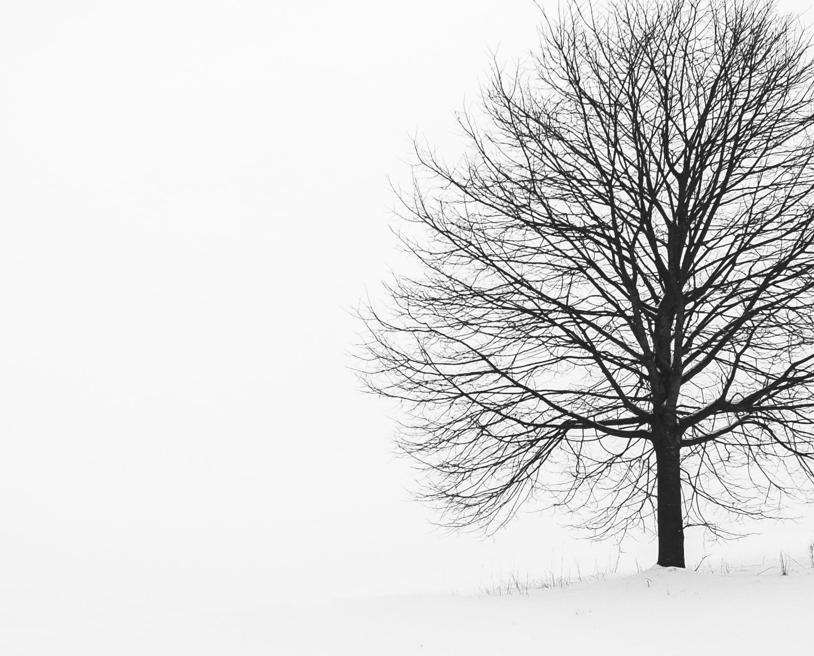 single-image-project11
