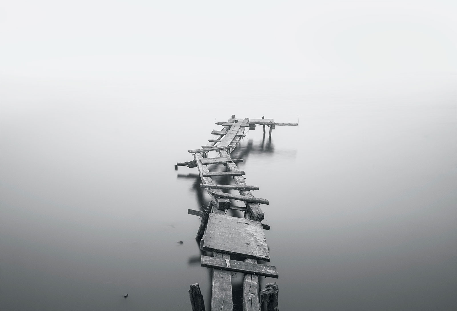 single-image1